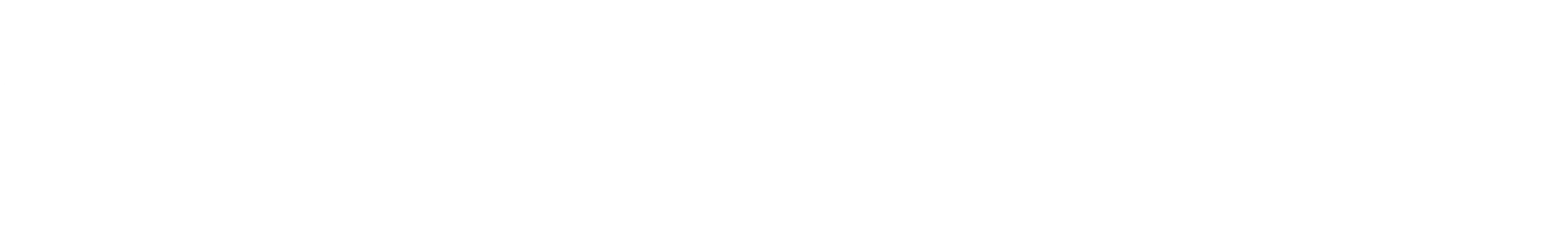Logo white